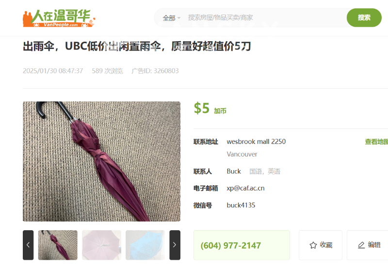 250201033331_伞 -buck.png